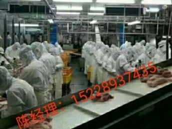 出國勞務 抓住國外雇主直招機遇，建筑工與工廠普工月薪高達3.5萬，天津移民與建筑工程新選擇