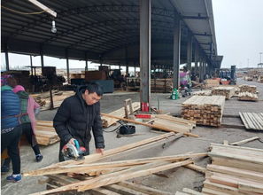 太倉(cāng)建筑木方加工廠 建筑工程木材批發(fā)的首選基地